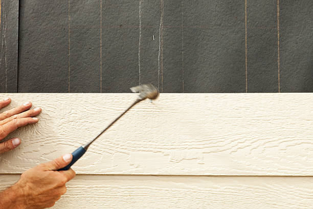 Best Custom Trim and Detailing for Siding  in Rosemont, PA